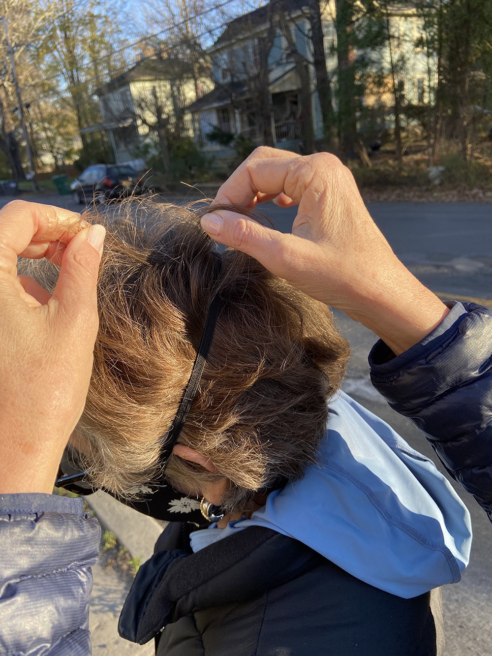 Head Lice Treatment Removal Service in Mid Hudson Valley, New York